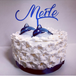 Caketopper Navn i Akryl