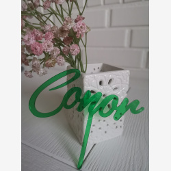 Caketopper Navn i Akryl