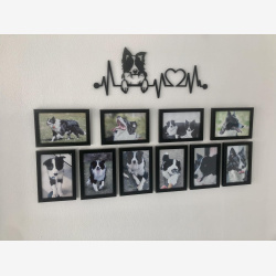 Border Collie Hjerteslag - V�gdekoration i tr�